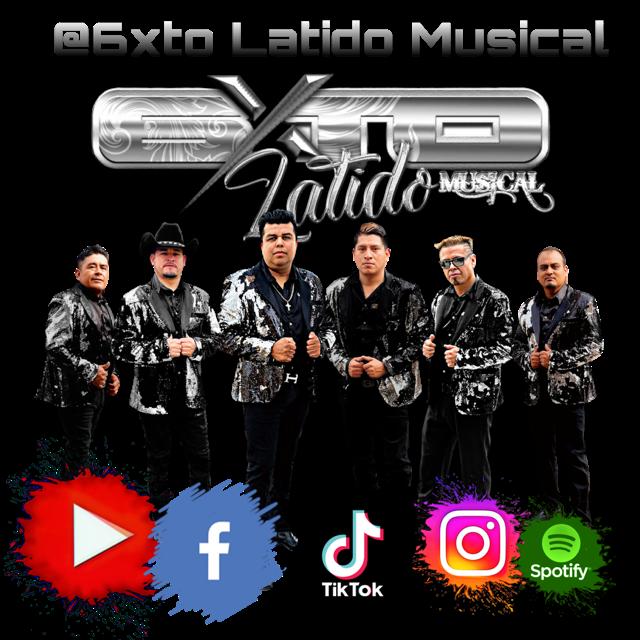 6XTO Latido Musical