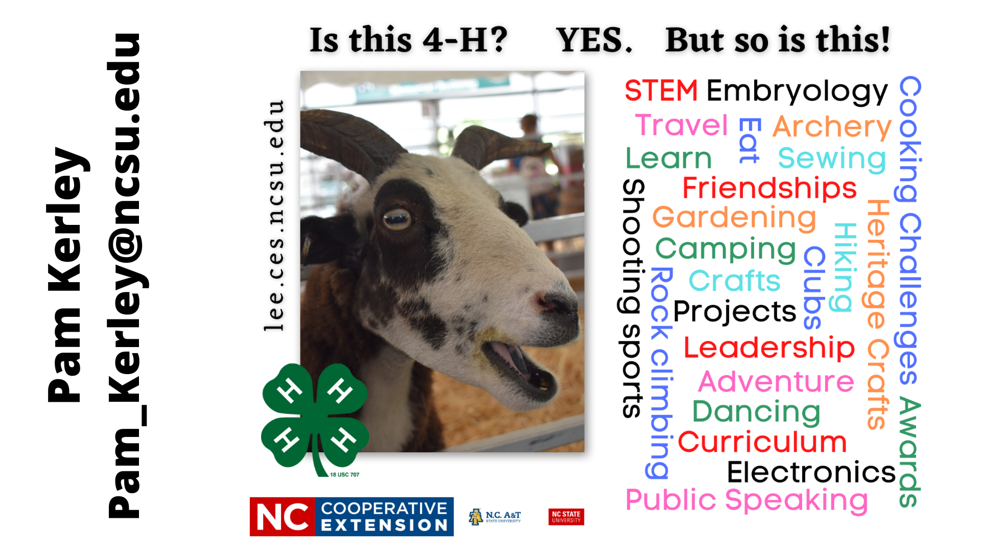 NCCE Lee County 4-H