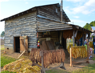 NC tobacco barn